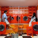 새별세탁소 | 제주 애월 여행 제주홀릭뮤지엄 제주도 실내 데이트 코스 이색체험