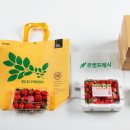 새벽마켓
