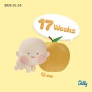 안경진정성 영통구청점 | (16주 - 17주) 날씨는 춥지만 마음이 따뜻한 1월 2️⃣