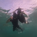 세부 한바다호핑