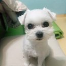 남현우동물병원 이미지