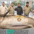 해양참치 이미지