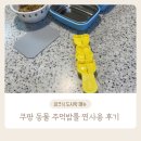 피크닉 소풍도시락 동물 모양 주먹밥
