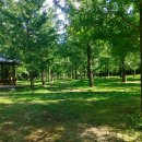 야산마을진입로 이미지