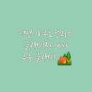 영천 아우노 펠리스 글램핑 네이버블로그