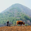 (주)아리랑