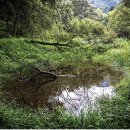 호반환승센터 버스정류장 이미지