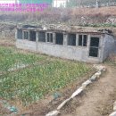 남해-142 이미지