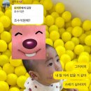 국도21-금마 가로수길 | 12월 일상