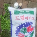 부강사