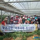 정정순농장 뉴시스