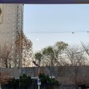 갈월공원 | 시시한 것 하나를 찾아서 죽도록 사랑하는 것