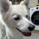 쏭이네마트 이미지