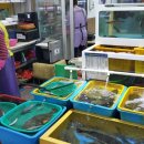 새광명행정사 이미지