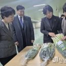 진도종합식품 네이버블로그