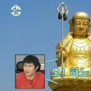 초록이야기
