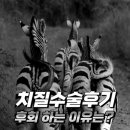 미항외과의원 이미지