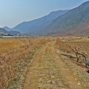 원동마을길 이미지