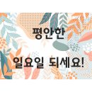 송일약국 이미지