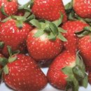 삼례시장 이미지