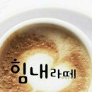 라떼 Daum카페