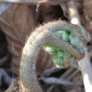 밤산농원 이미지