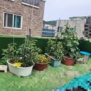 하람공인중개사사무소 이미지