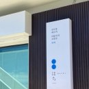 호근남로 | 제주 여행 : BTS 다녀간 &amp; 롯데호텔 출신 전석창 쉐프님이 운영하는 오마카세 ‘하찌’ 런치후기