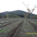 느티나무농장 이미지