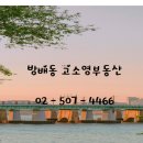 고소영공인중개사사무소 이미지