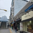 단트(DANT)