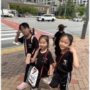 TL태권도 이미지