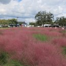 야생화단지내 이미지