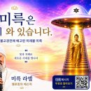 라엘 - 창원시 진해구 동진로143번길 11 | 라엘