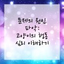 코아동물병원 | 해운대동물병원 고양이 전선 물기 고민 해결해줄게!