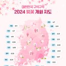 2024년 벚꽃은 예년보다 일찍 핀다 이미지