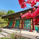 봉국사 - 성북구 | 성남시 봉국사 대광명전 도심 속 보물 천년고찰 (사찰기행) 39.