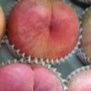 에덴농장 이미지