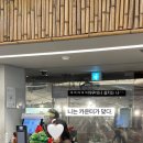실실쪼개