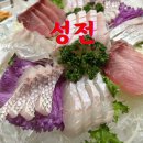 성전일식 이미지