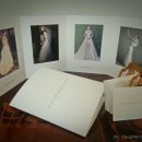 마이도터스 이미지