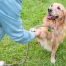 24시 송도힐 동물메디컬센터 이미지