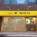 꿀강아지 테리하우스 이미지