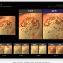 우*원 - 미추홀구 숙골로88번길 12 | 비에논 우레이드 기미앰플, 3만원대 미백 기능성 앰플 추천 후기