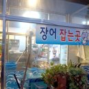 현대장어 이미지
