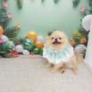 이뻐지는산책 이미지