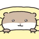 조가네곱창 이미지