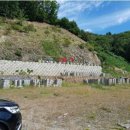 탄벌동-4 이미지