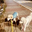 우리동네정신건강의학과의원 | <케이트잡화점> 2025 9. 1 오픈, 2025 12. 31일 4개월의 여정