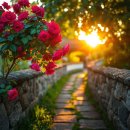 논산 선샤인스튜디오 장미 촬영지 낭만이 가득한 꽃구경 명소